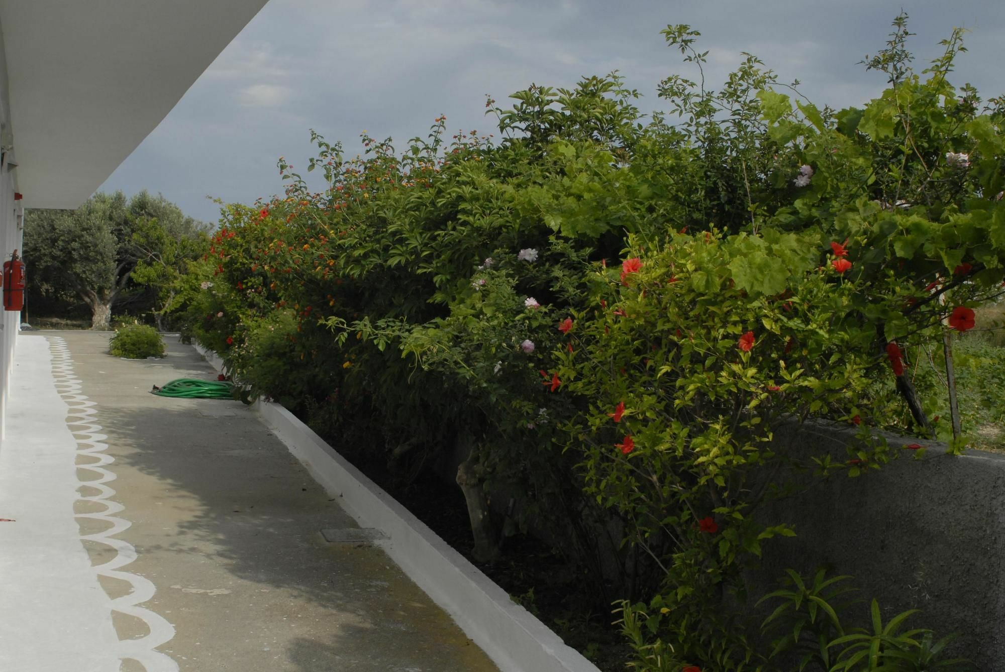 Ipokampos Apartment Kefalos  Exterior photo